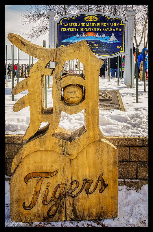 Detroit Art Print featuring the photograph Detroit Tigers Baseball by LeeAnn McLaneGoetz McLaneGoetzStudioLLCcom