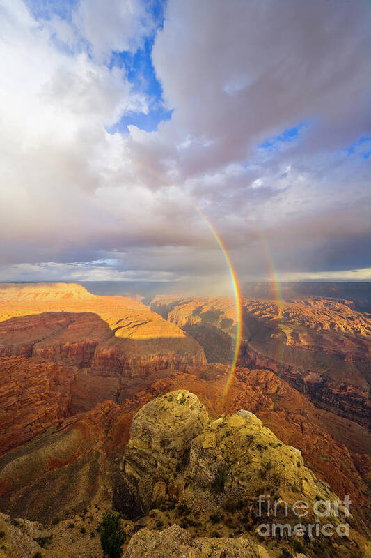 00345498 Art Print featuring the photograph Rainbow at Kanab Pt, Grand Canyon by Yva Momatiuk John Eastcott