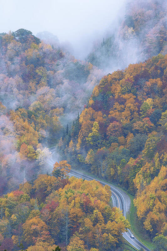 Nature Art Print featuring the photograph Down Below by Chad Dutson