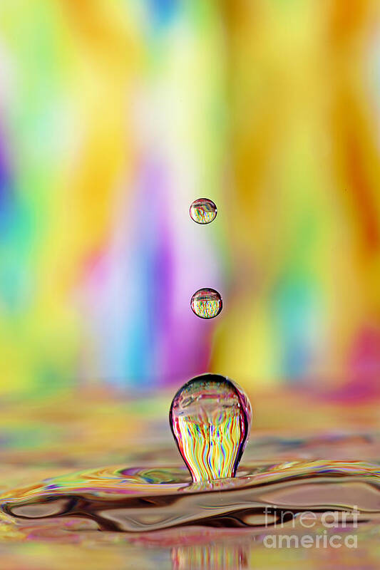 Water Art Print featuring the photograph Drip Drip Drop by Darren Fisher