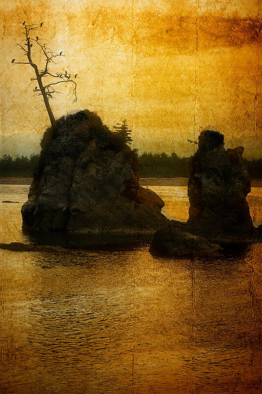 Oregon Coast Art Print featuring the photograph Evening Roost by Elaine Goss
