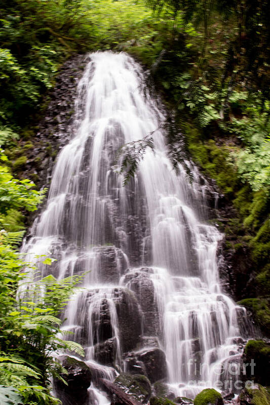 Fairy Falls Art Print featuring the photograph Fairy's Playground by Suzanne Luft
