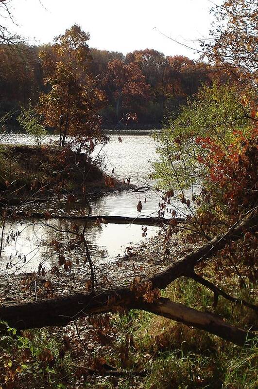 Lake Art Print featuring the photograph Fall colors by J L Zarek