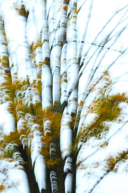 Autumn Art Print featuring the photograph Fall In Motion by Karol Livote