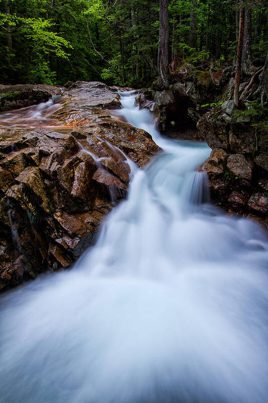 Cascade Art Print featuring the photograph Falls In The Forest by Jeff Sinon