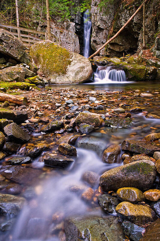 Cascade Art Print featuring the photograph Falls Of Song On Shannon Brook by Jeff Sinon