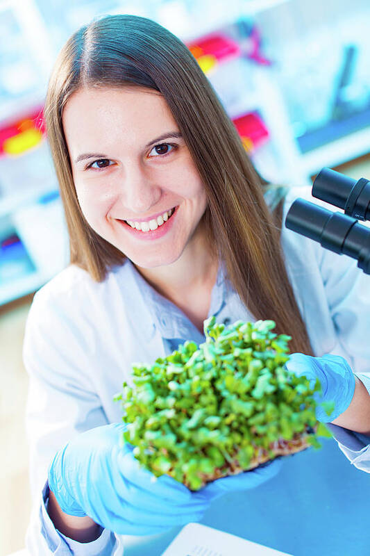 One Person Art Print featuring the photograph Female Biologist Holding Seedlings by Wladimir Bulgar/science Photo Library