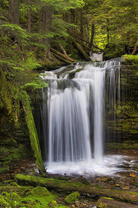 Idaho Art Print featuring the photograph Fern Falls by Mark Kiver