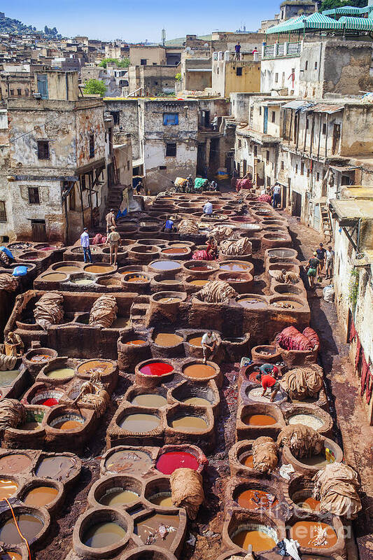 Africa Art Print featuring the photograph Fez tannery by Patricia Hofmeester