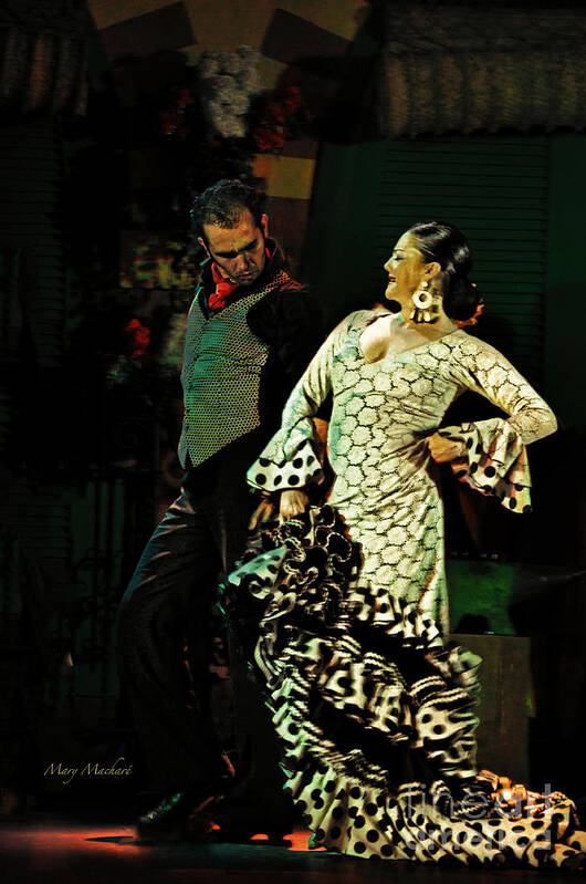 Flamenco Art Print featuring the photograph Flamenco Series No 11 by Mary Machare