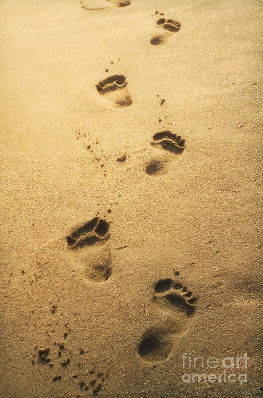 Sand Art Print featuring the photograph Footprints in the sand by Jelena Jovanovic