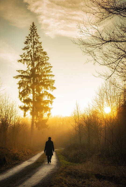 Sunset Art Print featuring the photograph Forest path into the warm orange sunset by Matthias Hauser