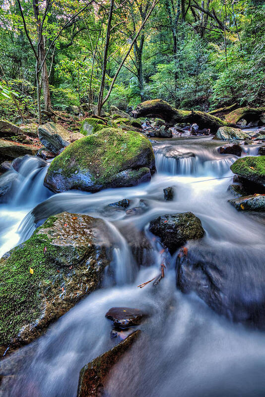  Water Waterfall Nature River Green Fall Forest Cascade Blue Tree Beautiful Beauty Stream Vacation Rock Fresh Natural Plant Landscape Clean Outdoors Health Stone Flow Wet Drop Spring Mountain Environment Splash Art Print featuring the photograph Forest Waterfall by John Swartz