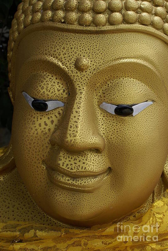 Buddhism Art Print featuring the photograph Freckled Gold Buddha by Gregory Smith