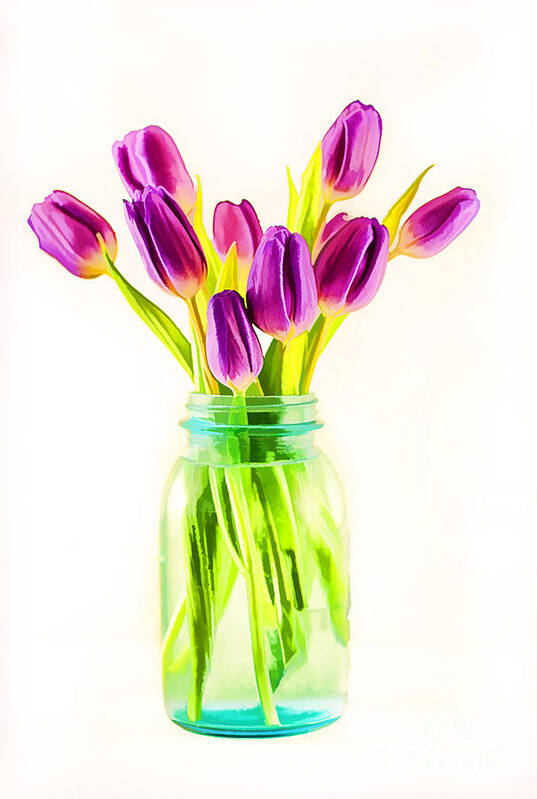 Arrangement Art Print featuring the photograph Fresh Tulips by Darren Fisher