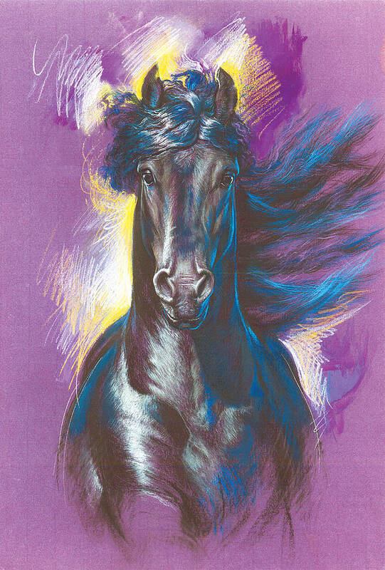 Zorina Baldescu Art Print featuring the photograph Friesian Horse Variant 1 by MGL Meiklejohn Graphics Licensing