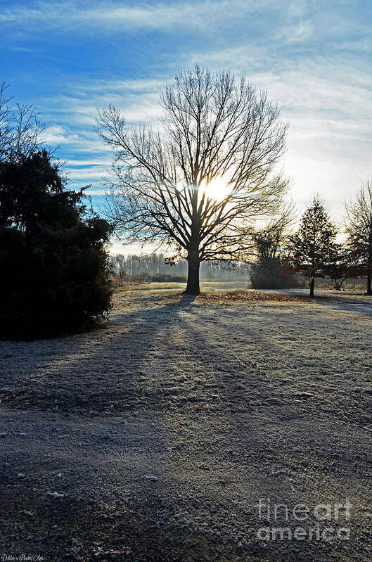 Landscape Art Print featuring the photograph Frosty Morning by Debbie Portwood