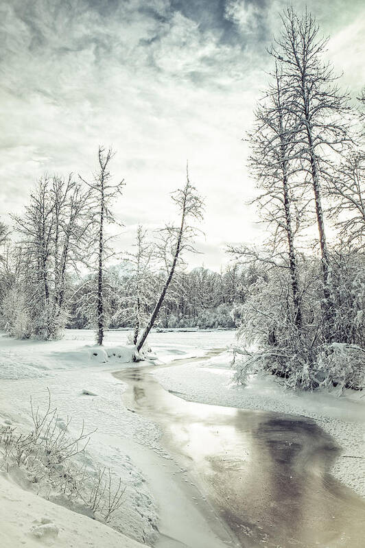 Alaska Art Print featuring the photograph Frozen Creek at Sunset by Michele Cornelius