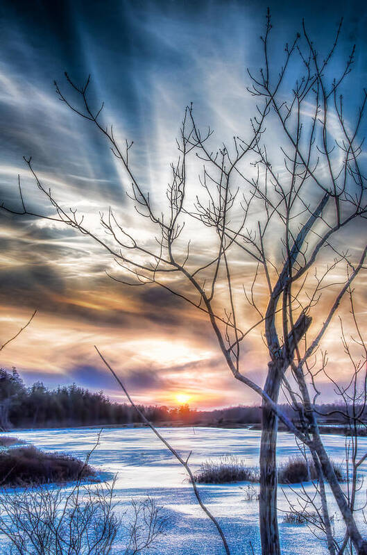 Sunset Art Print featuring the photograph Frozen Winter Sunset by Beth Venner