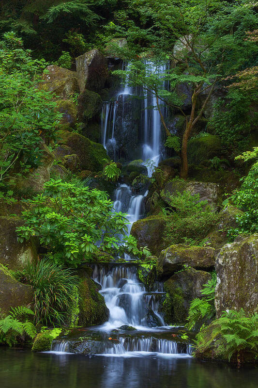 Waterfall Art Print featuring the photograph Garden Falls by Darren White