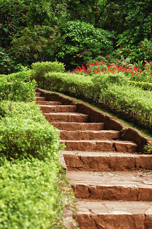 Flowerbed Art Print featuring the photograph Garden by Marcomarchi