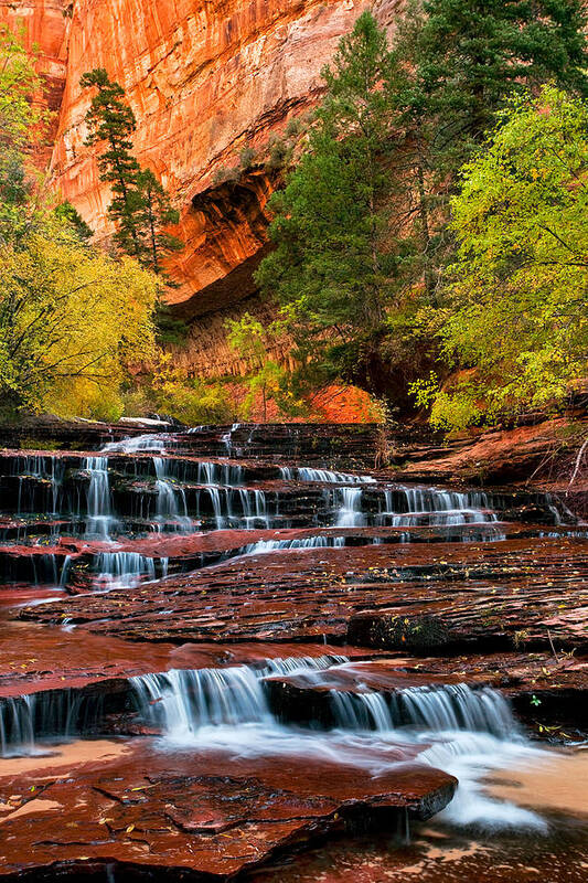 Arch Angel Falls Photographs Art Print featuring the photograph Garden of Eden by David Forster