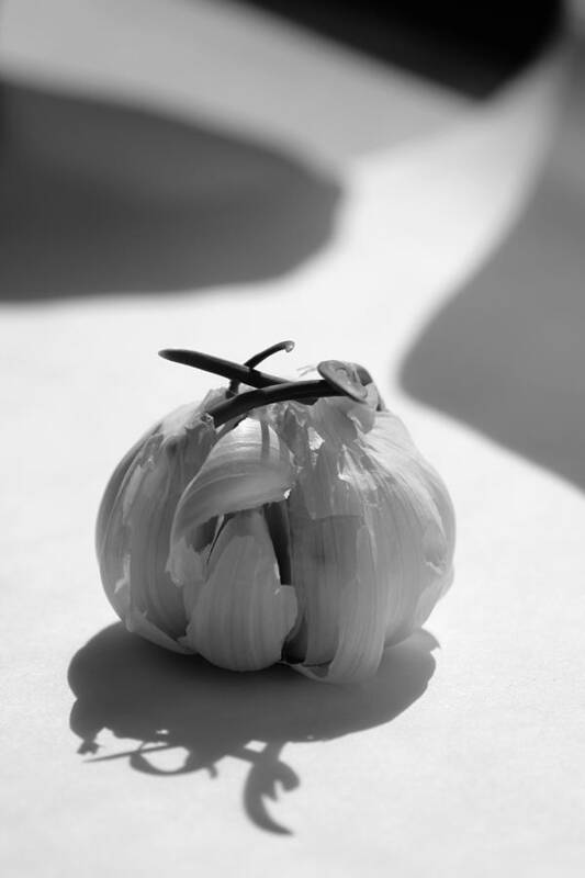 Garlic Art Print featuring the photograph Garlic Cove B1 by Carrie Godwin