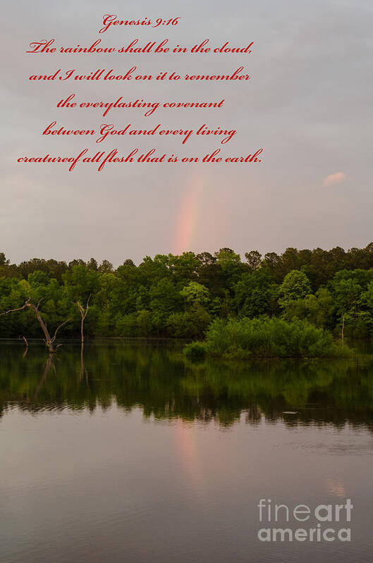 Scripture Art Print featuring the photograph Genesis 9 16 by Donna Brown