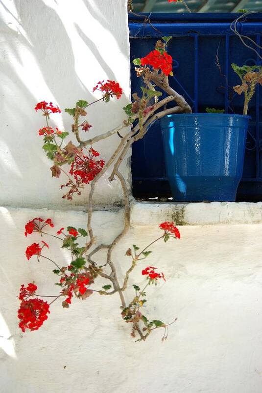 Photo Art Print featuring the photograph Geraniums in Blue Pot in Greece by Andy Fletcher