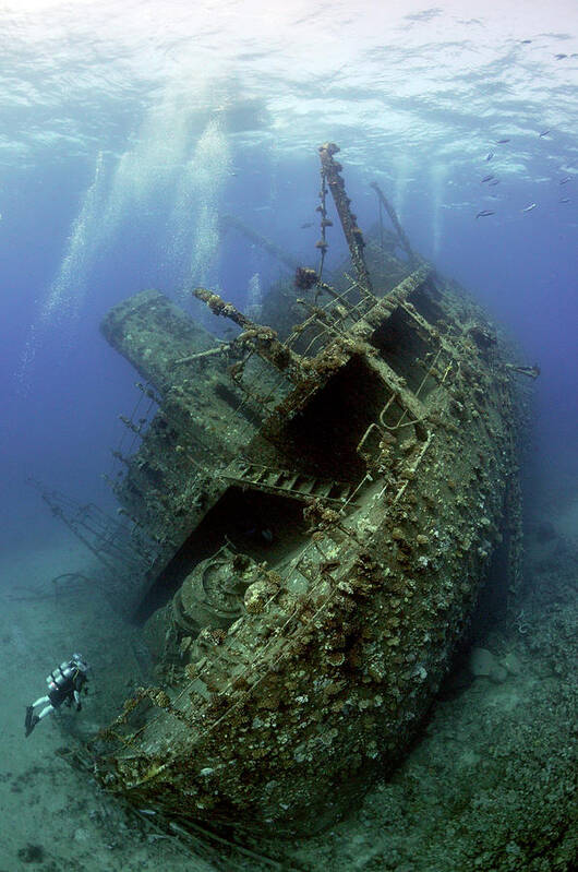 Red Sea Art Print featuring the photograph Giannis D Wreck. by Dray Van Beeck
