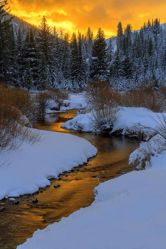 Utah Art Print featuring the photograph Golden Silence by Dustin LeFevre