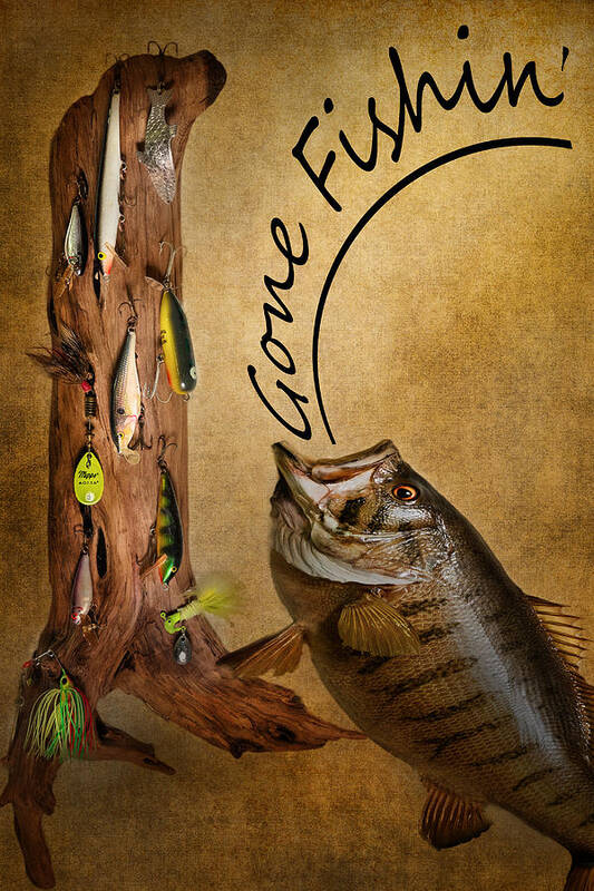 Fish Art Print featuring the photograph Gone FIshin by Bill Wakeley