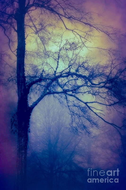 Haunting Art Print featuring the photograph Haunted Branches by Judi Bagwell