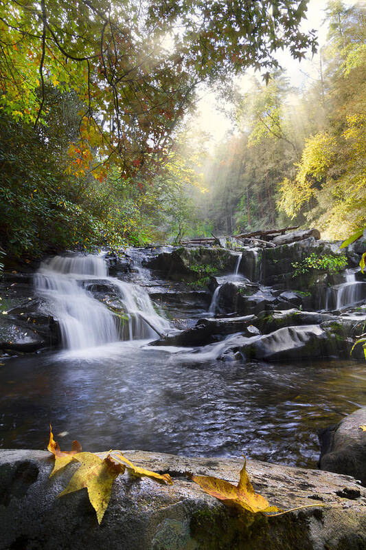 Appalachia Art Print featuring the photograph Heaven's Light by Debra and Dave Vanderlaan