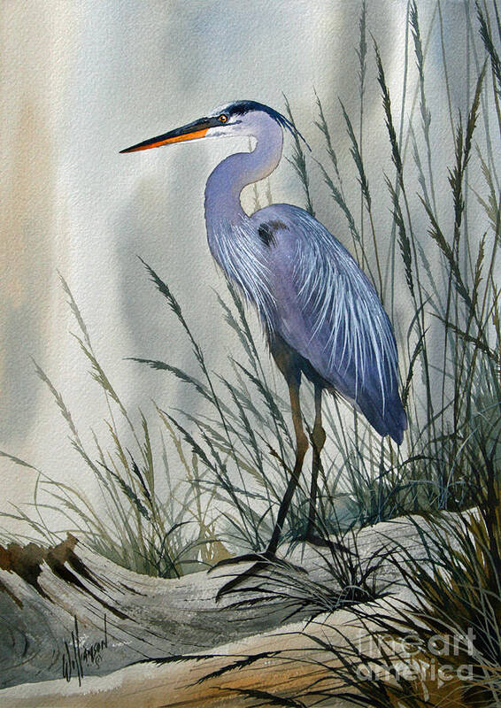 Heron Artwork Art Print featuring the painting Herons Sheltered Retreat by James Williamson