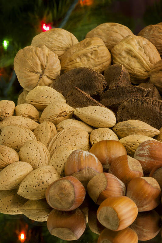 Nuts Art Print featuring the photograph Holiday Nuts by Mark McKinney