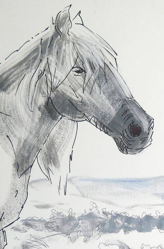 White Art Print featuring the painting Horse Head Drawing by Mike Jory