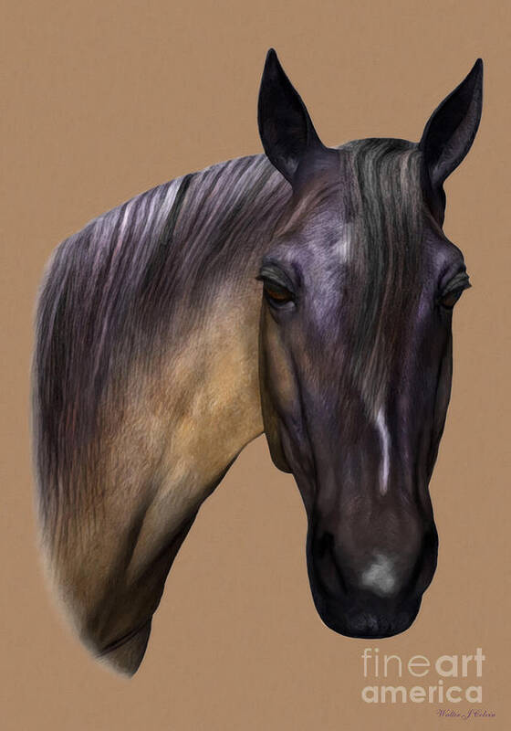 Horse Art Print featuring the digital art Horse Portrait by Walter Colvin