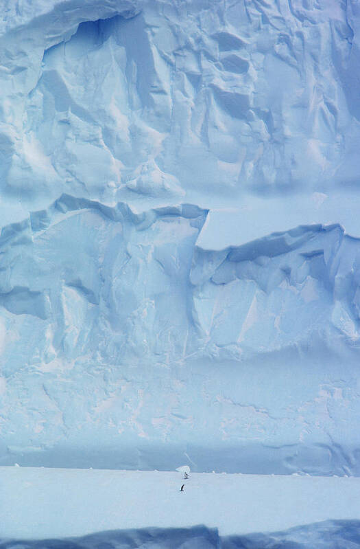 1977 Art Print featuring the photograph Iceberg, Antarctica by Robert Hernandez