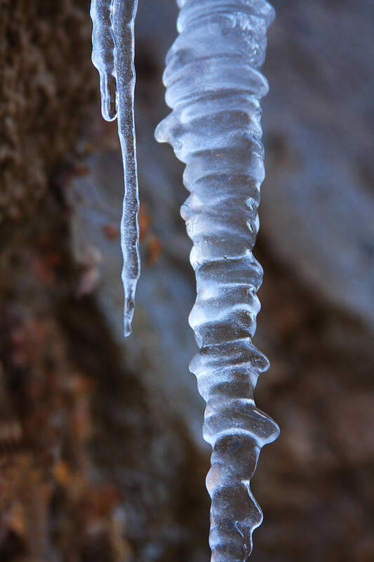 Icicles Art Print featuring the photograph Icicles 2 by James Knight