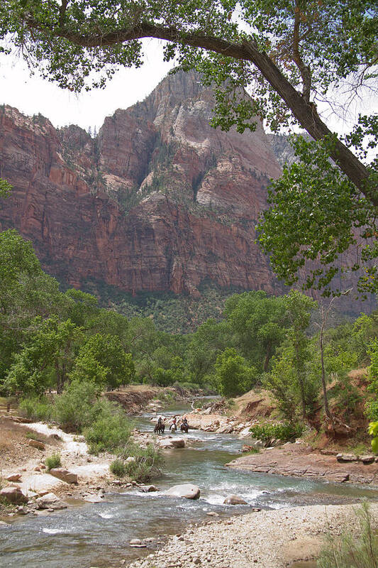 Virgin River Art Print featuring the photograph Iconic Western Scene by Natalie Rotman Cote