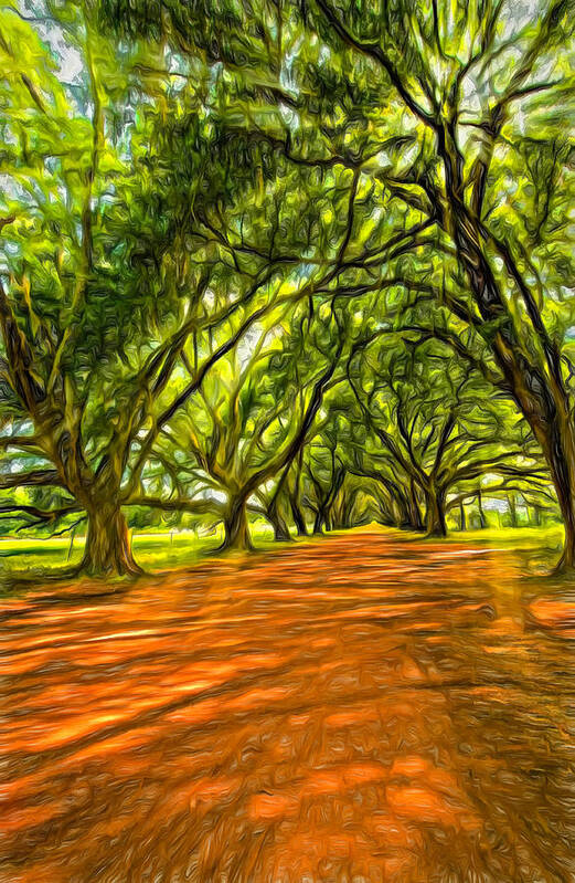 Evergreen Plantation Art Print featuring the photograph Into the Deep South - Paint 2 by Steve Harrington