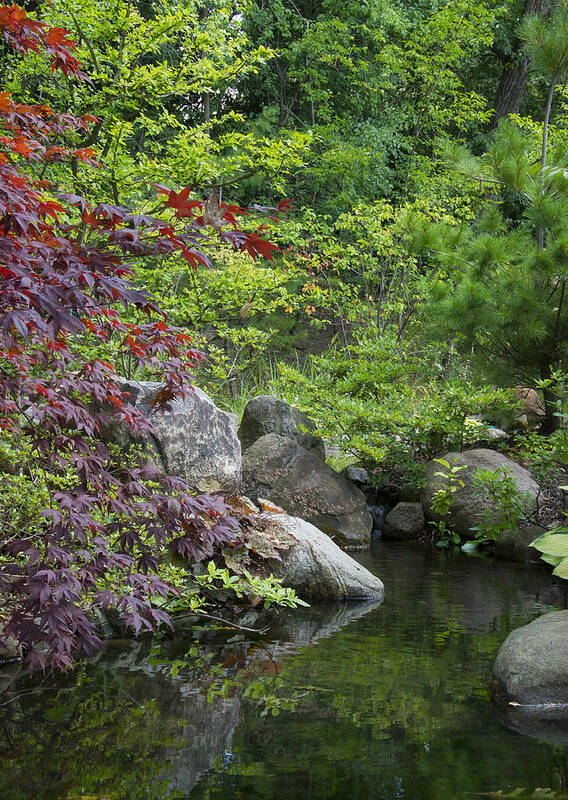 Serene Art Print featuring the photograph Japanese Garden by Larry Bohlin