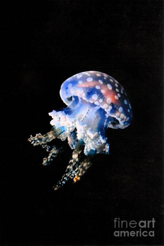 Sea Life Art Print featuring the painting Jelly Fish by Mary Zimmerman