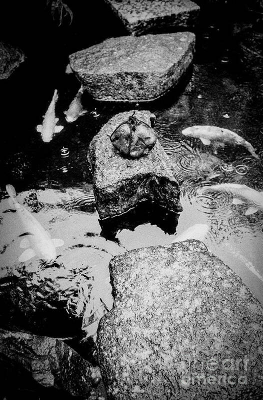 Koi Art Print featuring the photograph Koi Around the Old Stone Path by Dean Harte