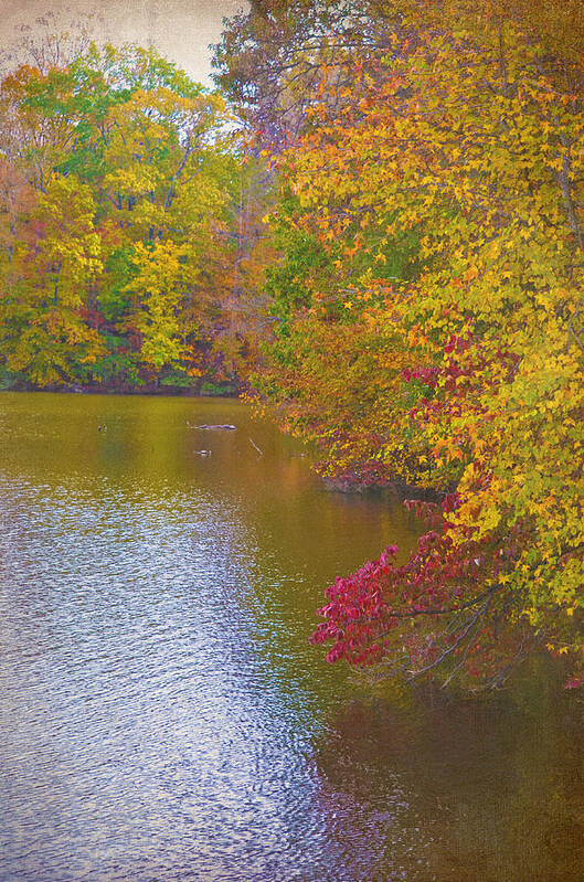 Fall Art Print featuring the photograph Lakeside Fall Color by Sandi OReilly
