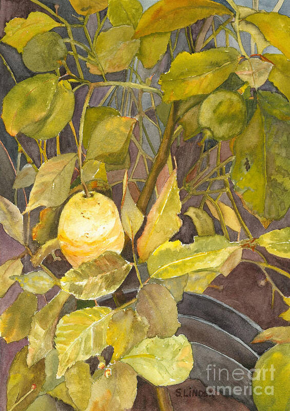 Plants Art Print featuring the painting Lemon Tree by Sandy Linden
