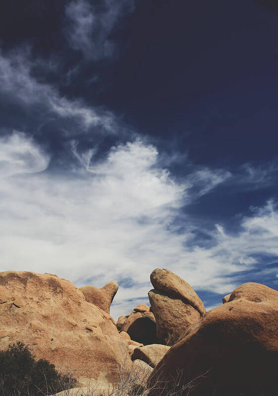 Joshua Tree National Park Art Print featuring the photograph Lessons Learned in Time by Laurie Search