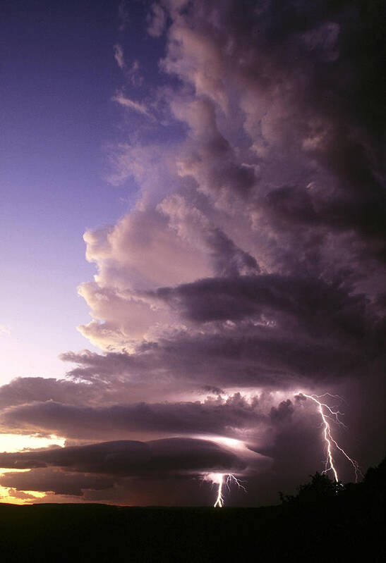 Cumulonimbus Art Print featuring the photograph Lightning Storm at sunset by Mark Langford