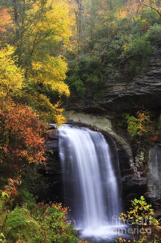 Looking Glass Falls Art Print featuring the photograph Looking Glass Falls in North Carolina by Jill Lang
